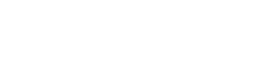 Çiçek Toptancısı - Çiçek Satıcılarına Özel Toptan Çiçek ve Malzeme Tedarikçisi