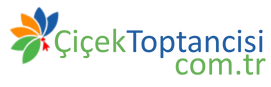 Çiçek Toptancısı - Çiçek Satıcılarına Özel Toptan Çiçek ve Malzeme Tedarikçisi
